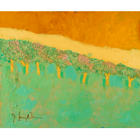 Cuando las aves encuentran refugio