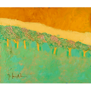 Cuando las aves encuentran refugio