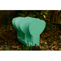 Esprits Blythe Visitez Arbres Verts en Début de Matinée