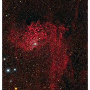 IC 405: John Bozeman