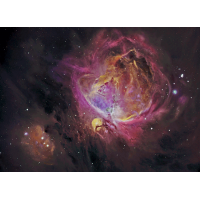 M42: Max Corneau