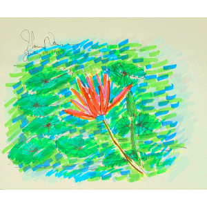 Claude Monet In Focus