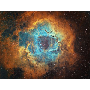 Rosette Nebula: Terry Hancock